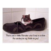 Det fanns lite en hamster…., vykort