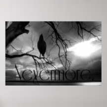 Det korpsvarta trycket - Nevermore Sunbeamsträd B& Affischer