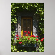 Det röda pelargonfönstret boxas trycket affischer