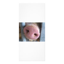 Det rosa grisnässlutet fotograferar upp anpassade ställkort