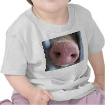 Det rosa grisnässlutet fotograferar upp tshirts