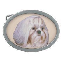 Det Shih Tzu bältet spänner fast