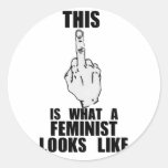 Detta är en vilken feminist ser lik runda klistermärken
