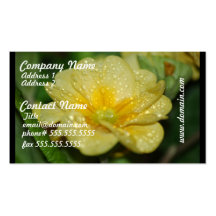 Dew on a Primrose Business Card Templates