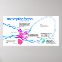 Diagrammet av gentranskription dela upp i faktorer posters