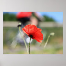 Die Mohnblume am Radweg Plakate