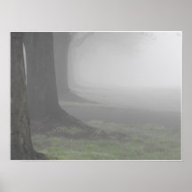 Dimmiga morgnar 10 posters