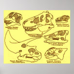Dinosaurdöskallar Print