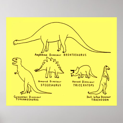 Dinosaurklassifikation Affisch