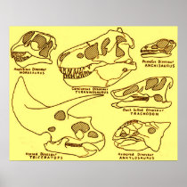 Dinosaurskallar Print