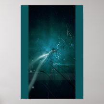 DIRLITHIUM PRINT