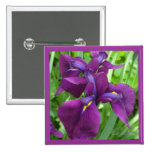 Djupt - purpurfärgade Irises Knappar Med Nål