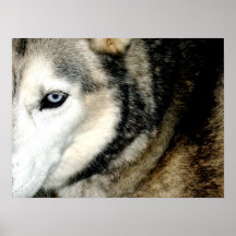 Djur Print