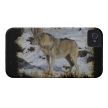 Djur alfabetisk manlig för varg- & snöVarg-Älskare iPhone 4 Case-Mate Skal