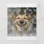 Djur Meme för Stonerhundrådgivning Flygblad