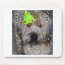 Djur Wheaton för party Terrier Musmatta