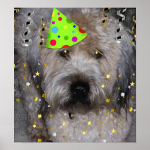 Djur Wheaton för party Terrier Print