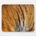 Djurliv Mousepad för katt för Bengal tigerpäls sto Mus Matta