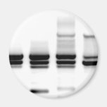 Dna-Gel Magneter För Kylskåp
