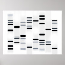 DNA kodifierar konstsvart på vit Affischer