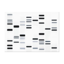 DNA kodifierar konstsvart på vit Canvasdukar Med Gallerikvalitet