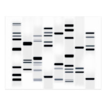 DNA kodifierar konstsvart på vit Vykort