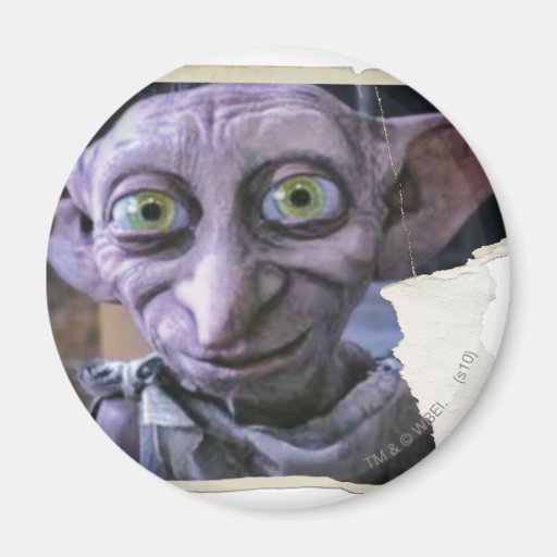 Dobby 1 magnet för kylskåp