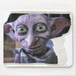 Dobby 1 mus mattor