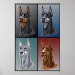 Dobermanfärger Affischer