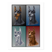 Dobermanfärger Vykort