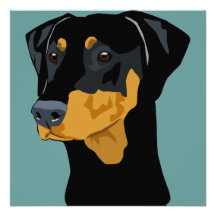 Dobermanhuvud, svart som är uncropped personliga tillkännagivande