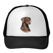 Dobermann 9Y381D-162 Mesh Kepsar