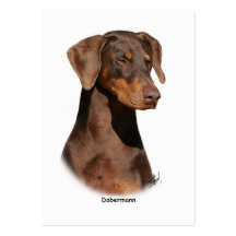 Dobermann 9Y381D-162 Visitkort Mall