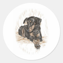 DobermanPinscherhund med naturligt öron Rund Klistermärke