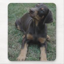 Dobermanvalpmousepad Musmattor
