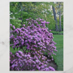 Dofta lila blommor i trädgården custom flyer