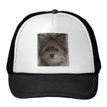 Dog5 Kepsar
