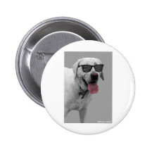 Dog_sunglasses.jpg Pins