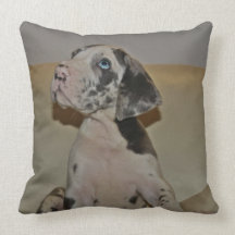 Doggenwelpe Kissen