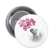 Dogwood och bulldogg knapp