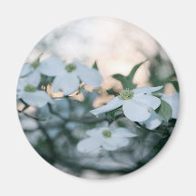 DOGWOODMAGNET MAGNETER
