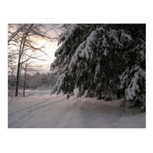 Dolda Hemlocks för snö Vykort