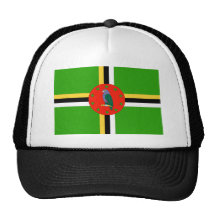 Dominica Mesh Kepsar