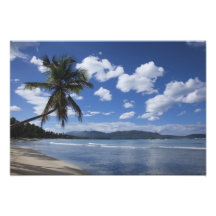 Dominikanska republiken Samana peninsula, Las 4 Fotografier