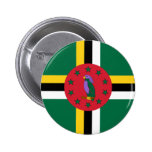 Dominikisk flagga knappar med nål