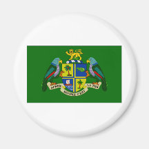 Dominikisk presidentflagga magneter