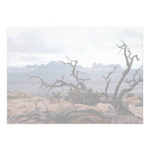Dött träd, bågar nationalpark, Utah, USA Personliga Tillkännagivanden