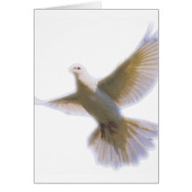 Doveoutline hälsningkort