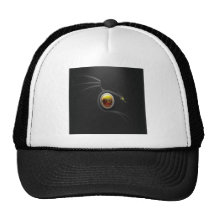 DRAKE FÖR YIN YANG MESH KEPSAR
