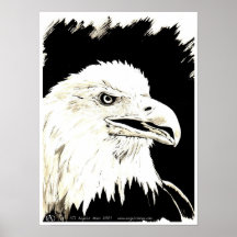 Driva Posters
